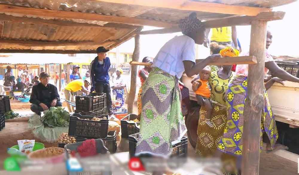 Sau khi thu hoạch, các công nhân của trang trại sẽ phân loại khoai tây: Củ to và nhỡ đem bán, củ nhỏ giữ lại làm giống cho mùa sau và chia cho bà con làm giống. Những củ bị dập hay bị cuốc vào sẽ được team trang trại chia nhau và chia cho các công nhân về ăn.