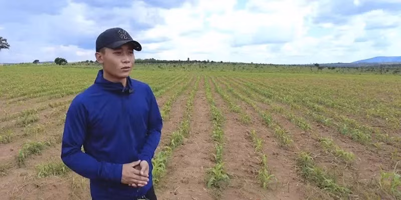 Sau khi phân loại khoai tây, có 70 sọt tủ tiêu chuẩn được xuất bán. Số lượng không quá nhiều nên họ mang đi bán buôn ở chợ huyện, thu hồi vốn lân đạm và phục vụ chi phí mùa sau. Điều thú vị là chợ ở đây dù bán buôn hay bán lẻ cũng không cân ký mà ước lượng theo mớ. Dù team nông trại đã xếp sẵn khoai vào sọt ở nhà, đến chợ các chị vẫn xếp lại, dồn khoai cho đầy tràn rồi mới tính là một sọt.