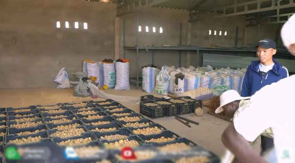 Ở Angola đang là mùa khô, người dân địa phương chủ yếu tập trung vào chăn nuôi. Mùa này, không nhiều người trồng trọt, do đất xốp và thoát nước lớn, để tưới tiêu cho cây rất vất vả mà có thể không đạt hiệu quả như kỳ vọng.