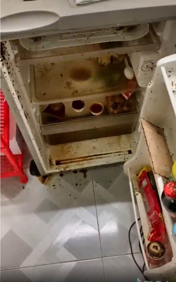 Nguyên nhân lớn nhất khiến tủ lạnh của chủ clip TikTok bốc mùi, dơ dáy là do cô nàng đã không bỏ hết thực phẩm ra trước khi rời phòng trọ.