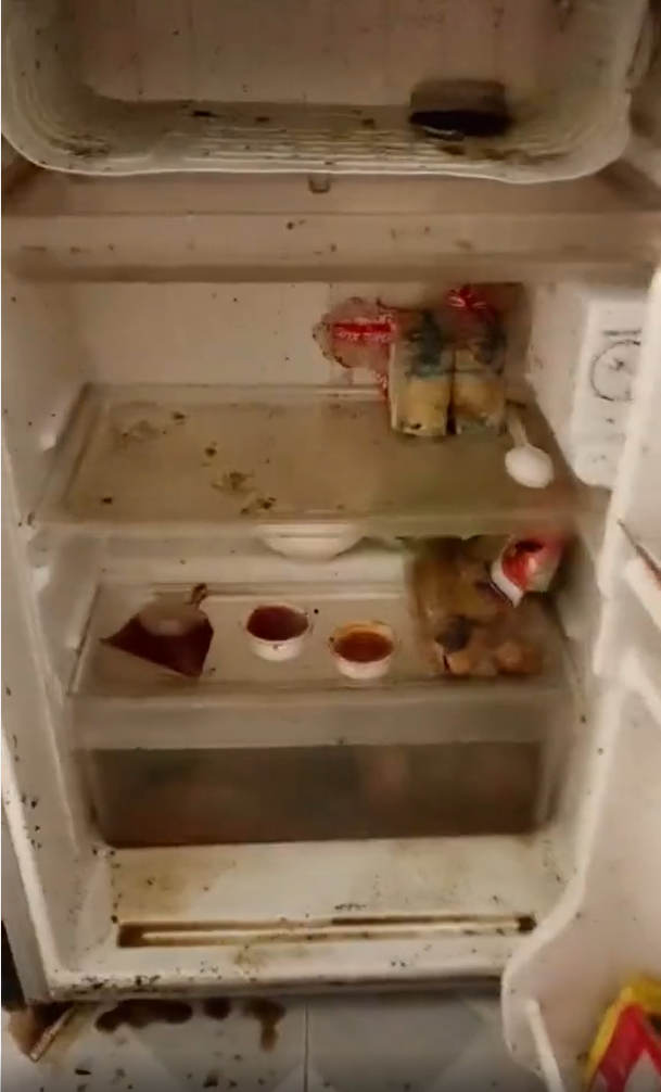 Dưới bình luận, nhiều người tỏ ra đồng cảm với cô nàng này: "Tủ lạnh mình và bạn y chang. Trước khi về mình dọn hết rồi mà không hiểu sao khi lên lại sau 6 tháng mùi vẫn kinh lắm." hay "Mình vẫn cắm điện tủ lạnh, lúc lên thì rau củ, trứng khô queo hết luôn."