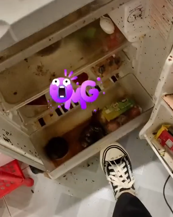 Ngoài ra, việc tủ lạnh không cắm điện cũng khiến thức ăn hỏng nhanh hơn, chưa kể sẽ ảnh hưởng đến tuổi thọ của thiết bị.