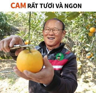 Một trái "Cam" rất tươi và ngon cho thầy trò HLV Park Hang Seo sau trận đấu trên SVĐ Bishan.