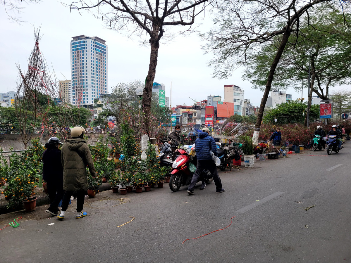 Một góc chợ hoa tại đường Giáp Nhất, đủ các loại cây cảnh nhưng sức mua giảm.