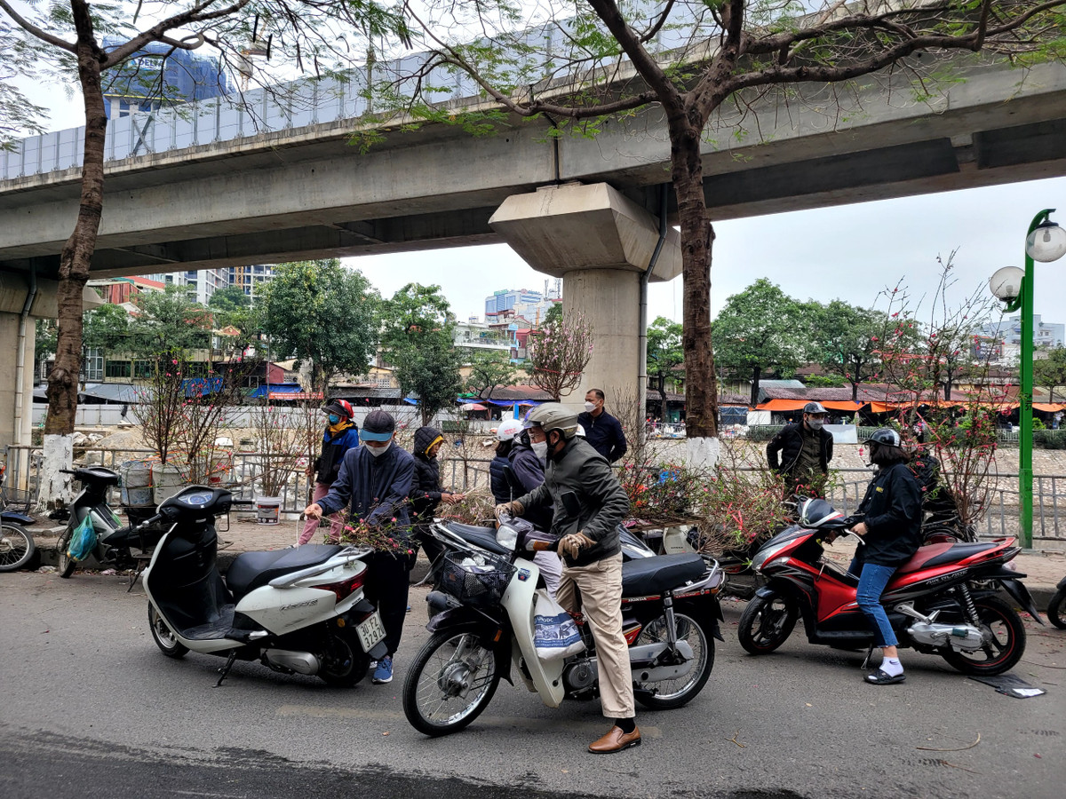 Khu vực xung quanh đường Láng và Giáp Nhất của Quận Thanh Xuân dù chợ diễn ra khá tấp nập, nhưng cây cảnh còn lại rất nhiều.