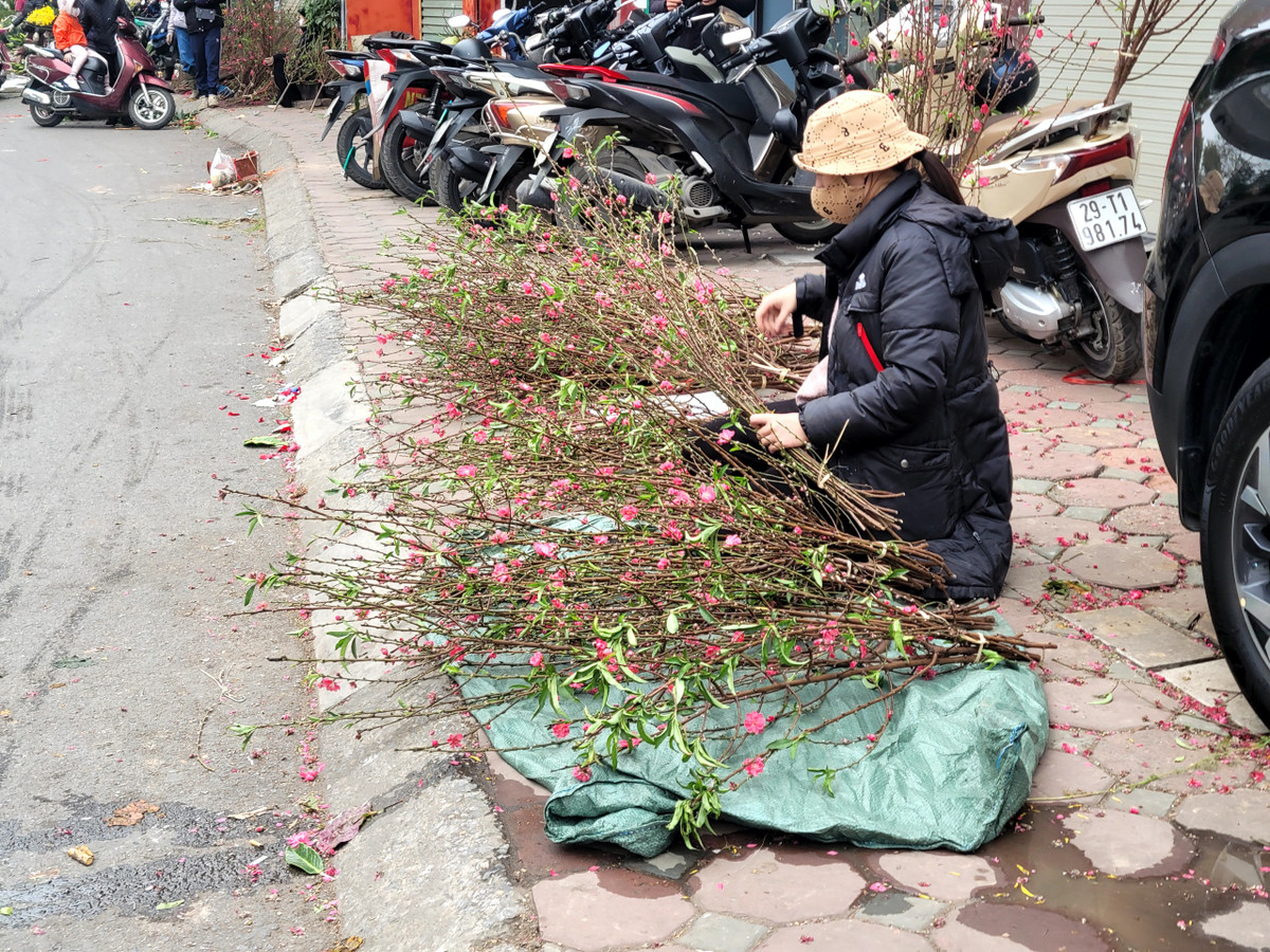 Cành đào nhỏ cắm bàn thờ cũng chưa bán được nhiều.
