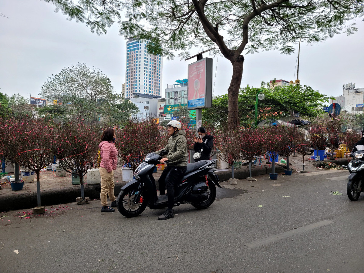 Theo các tiểu thương, nguyên nhân ế ẩm không chỉ do kinh tế khó khăn, người dân thắt chặt chi tiêu, mà họ đang phải cạnh tranh với những người bán hàng online.