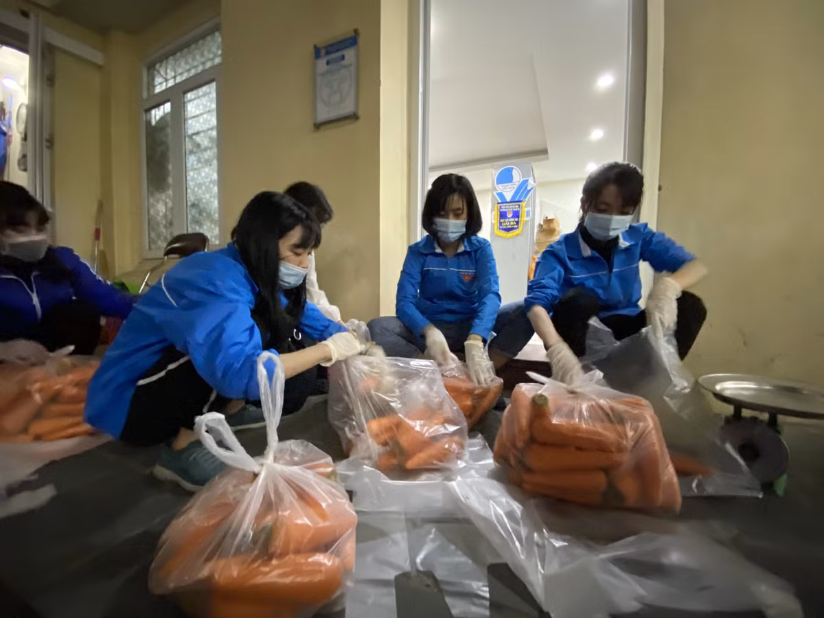 Tất cả nông sản Hải Dương được chuyển về Hà Nội vừa qua tại Thành đoàn Hà Nội đều được đảm bảo an toàn về quy trình phòng dịch, chất lượng tiêu dùng.