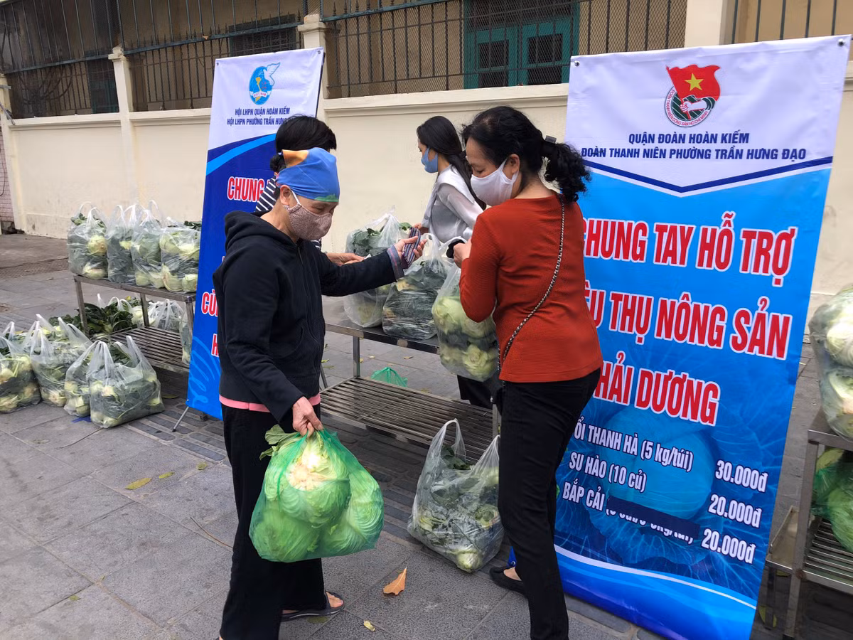 Trước đó, tại một số địa điểm giải cứu nông sản Hải Dương tại Hà Nội, đội hình tình nguyện của tuổi trẻ Thủ đô với nòng cốt tham gia là đoàn viên thanh niên phường Phương Mai, Kim Liên (quận Đống Đa), sinh viên tình nguyện trường Đại học Kinh tế Quốc dân và Đoàn thanh niên TCT Du lịch Hà Nội cũng có mặt hỗ trợ việc điều tiết giao thông, bảo đảm bảo các yêu cầu phòng chống dịch cho người mua và người bán trong suốt quá trình mua hàng.