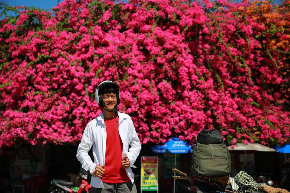 Chủ nhà cho biết, giàn hoa giấy trở bông đẹp nhất từ tháng 2 đến tháng 5. Chiều tối hoặc ngày cuối tuần, nhiều đôi trai gái, các cô và cả các bà mặc áo dài ra giàn bông giấy này để chụp hình lưu niệm.