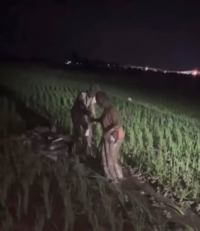Chẳng ai biết chàng trai cầm lái đã chạy như thế nào mà khiến xe văng xa ra ngoài ruộng đến vài mét. Hậu quả để lại là một mảng lúa non vừa được cấy và nhú lên chưa bao nhiêu đã bị san phẳng.