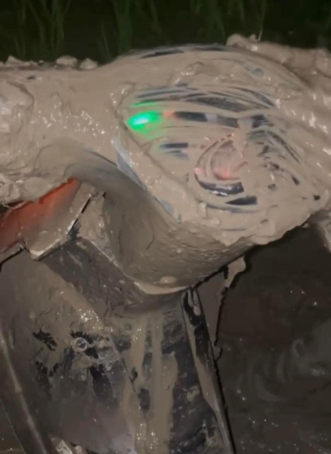 Chứng kiến cảnh tượng vừa đáng thương vừa không khó hiểu ấy, ai nấy đều không khỏi lắc đầu ngao ngán.