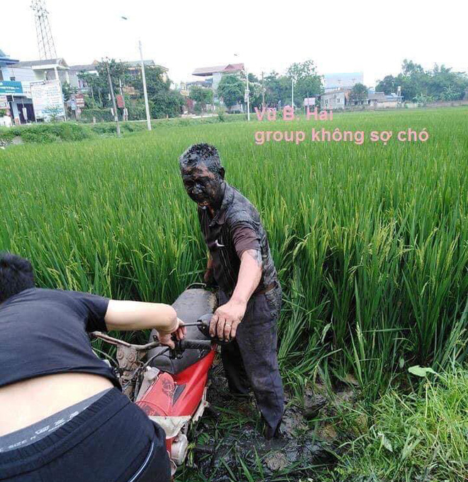 Nếu như phần đông đều tập trung chê trách nguyên nhân dẫn đến sự việc thì một số khác bày tỏ sự thương cảm cho chủ ruộng vì vô tình va phải những vị khách không mời.