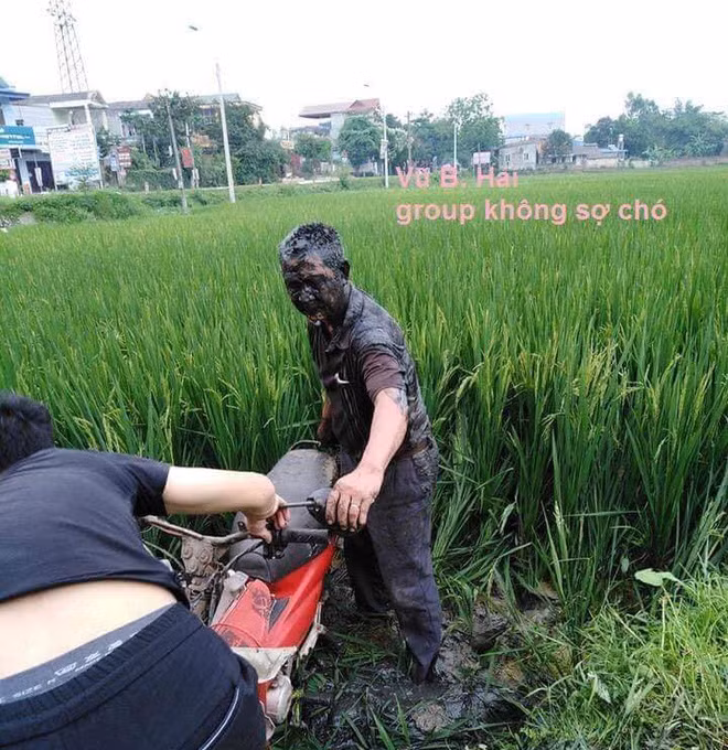 Nếu như phần đông đều tập trung chê trách nguyên nhân dẫn đến sự việc thì một số khác bày tỏ sự thương cảm cho chủ ruộng vì vô tình va phải những vị khách không mời.