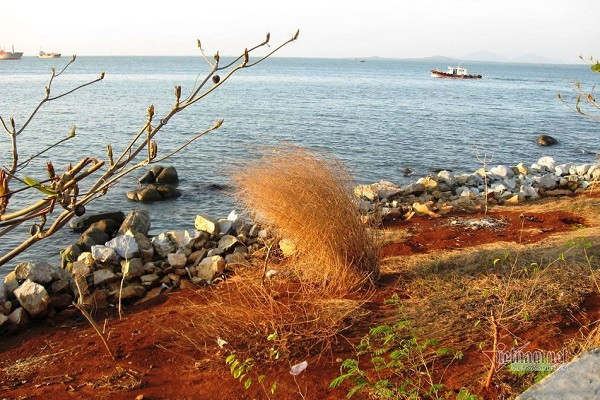 Co gai bat ngo voi quyet dinh cua me chong tuong lai