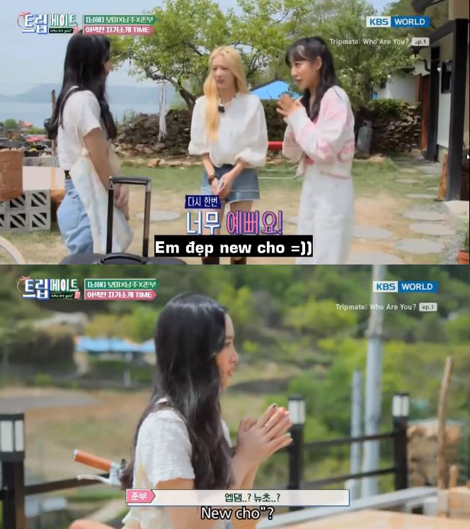 Một số người giỏi ngoại ngữ giải thích, câu nói này thường được giới trẻ Hàn dùng để khen một cô gái “rất xinh đẹp”. Tuy nhiên, vì từ “rất” trong câu có nghĩa đen là “cho”, nên mới có trường hợp “dở khóc dở cười” như thế kia.