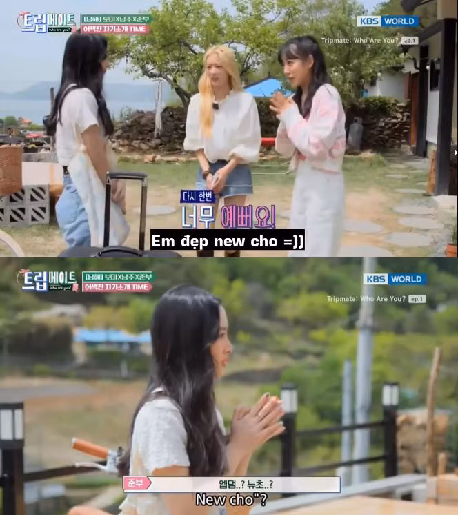 Một số người giỏi ngoại ngữ giải thích, câu nói này thường được giới trẻ Hàn dùng để khen một cô gái “rất xinh đẹp”. Tuy nhiên, vì từ “rất” trong câu có nghĩa đen là “cho”, nên mới có trường hợp “dở khóc dở cười” như thế kia.