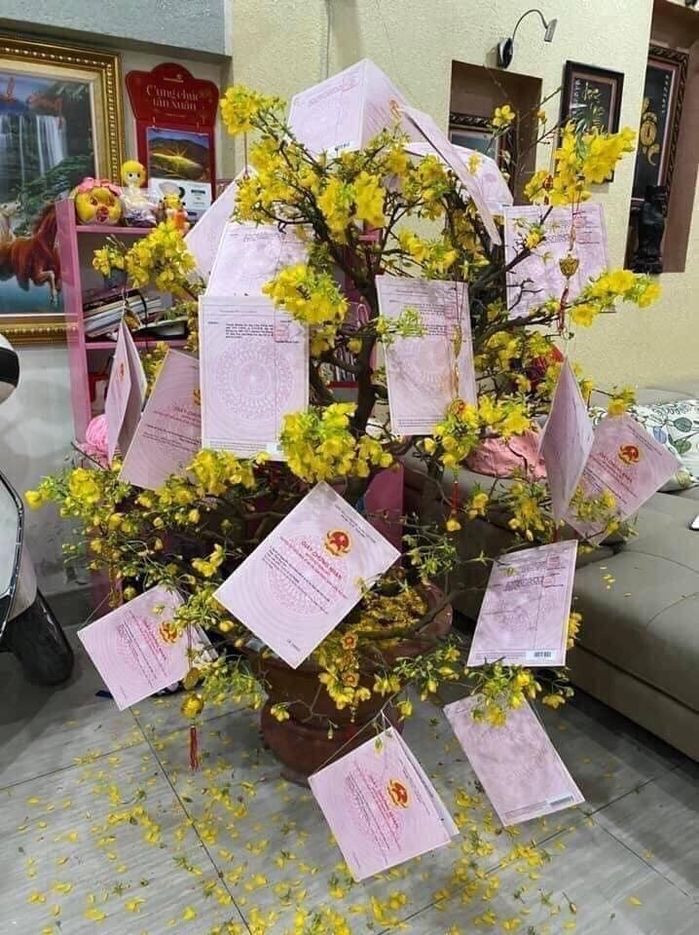 Đúng là kiểu "nhà không có gì ngoài sổ hồng".