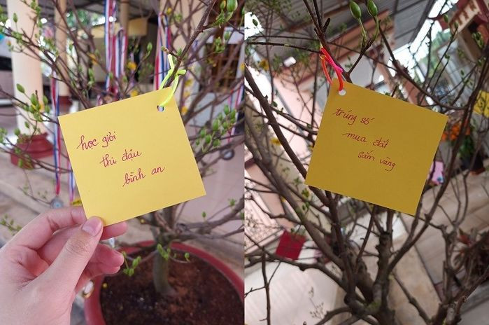 Ngoài ra còn rất nhiều kiểu trang trí cây cảnh khác như treo sổ hồng, treo lời chúc may mắn từ: "trúng số, mua đất, sắm vàng" đến "học giỏi, thi đậu, bình an"...