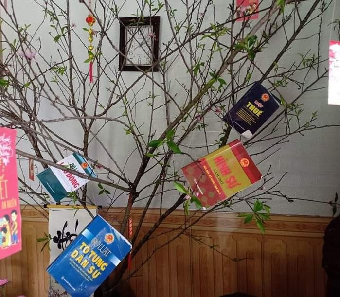 Ngoài giấy khen, lời chúc thì nhiều cô cậu học trò còn chơi nổi khi treo cả giáo trình môn học, thậm chí còn "bê" nguyên idol lên trang trí cho cây quất nhà mình.