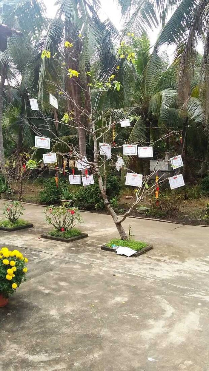 Treo hẳn giấy khen trên cây mai ngoài sân thế này thì chứng tỏ cũng thuộc hàng top của lớp rồi.