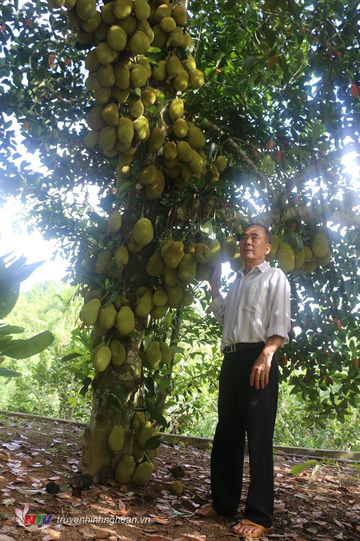 Thậm chí, vì quá khó tin mà một bạn đã bình luận cho rằng thanh niên kia "ghép ảnh lộ quá, nhưng mà nhìn vẫn khoái".