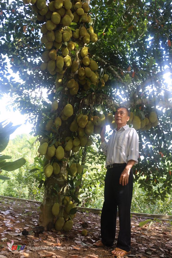 Thậm chí, vì quá khó tin mà một bạn đã bình luận cho rằng thanh niên kia "ghép ảnh lộ quá, nhưng mà nhìn vẫn khoái".