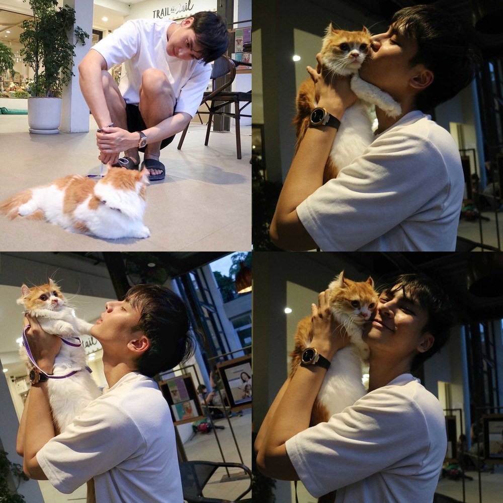 Trên trang Instagram, Ice Panuwat Premmaneenan thường chia sẻ về công việc, cuộc sống đời thường và sở thích cá nhân. Trong bài đăng gần đây, "hot boy tóc dài" tâm sự rằng anh đang gặp rắc rối khi nhận nuôi một bé mèo và chú chó khác, nhưng dường như cả hai "không hợp tính nhau" cho lắm.