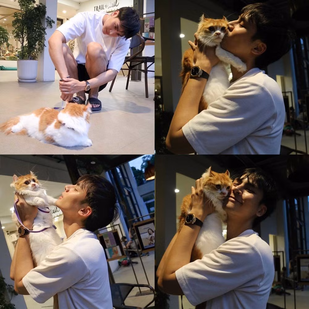 Trên trang Instagram, Ice Panuwat Premmaneenan thường chia sẻ về công việc, cuộc sống đời thường và sở thích cá nhân. Trong bài đăng gần đây, "hot boy tóc dài" tâm sự rằng anh đang gặp rắc rối khi nhận nuôi một bé mèo và chú chó khác, nhưng dường như cả hai "không hợp tính nhau" cho lắm.