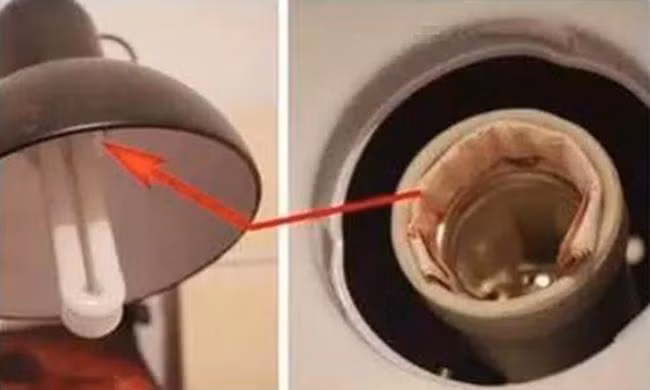 Qua giấu quỹ đen với IQ thượng thừa.