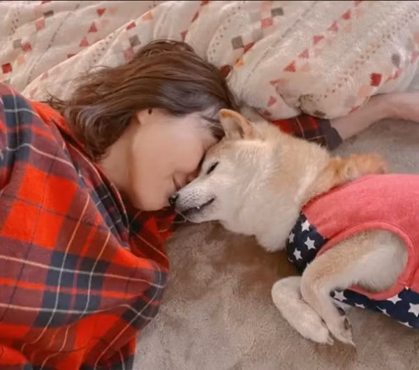 Trước rất nhiều lời hỏi thăm của cư dân mạng, cô Sato gửi lời cảm ơn và viết rằng Kabosu “đang ở tình trạng rất nguy hiểm”.