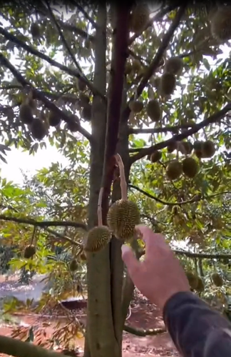 Bài đăng của cô gái đến nay đã thu về hơn 25.000 lượt xe, 5700 bình luận cùng hơn 1000 lượt chia sẻ.