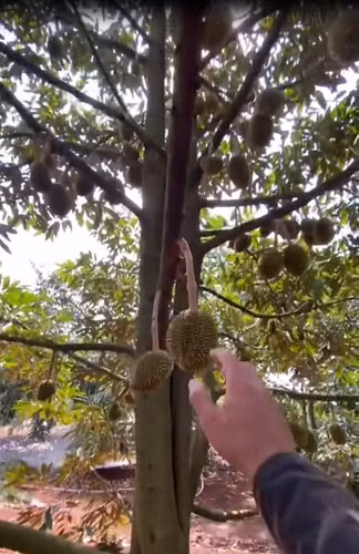 Bài đăng của cô gái đến nay đã thu về hơn 25.000 lượt xe, 5700 bình luận cùng hơn 1000 lượt chia sẻ.