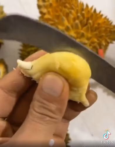 Xẻ ra bên trong còn bất ngờ ngã ngửa.