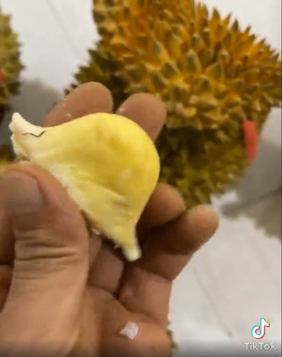 Bình luận dưới bài đăng, cư dân mạng hài hước nhận xét: "Sầu riêng này thích hợp cho mấy đứa thích giảm cân" hay "Ăn sầu riêng mà tưởng đâu đang ăn vải hay chôm chôm!"