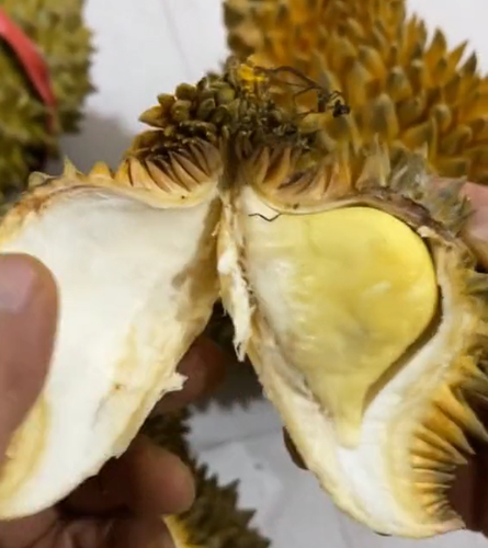 Ăn ngon ngọt hay không thì chưa biết nhưng thế này đã đủ gây bất ngờ rồi.