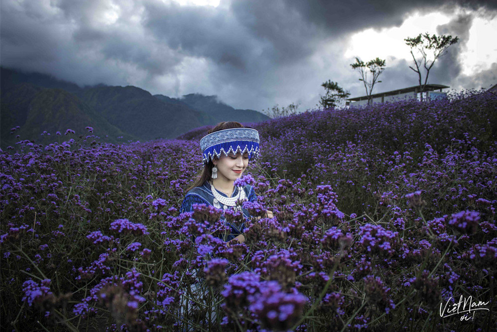 Chưa dừng lại ở đó, Maria Tuyền còn muốn tôn vinh chiếc áo dài - quốc phục của Việt Nam đến các bạn trẻ. Chính điểm khác biệt đó mà cô nàng vlogger xinh đẹp này được rất nhiều bạn trẻ yêu mến, quan tâm.