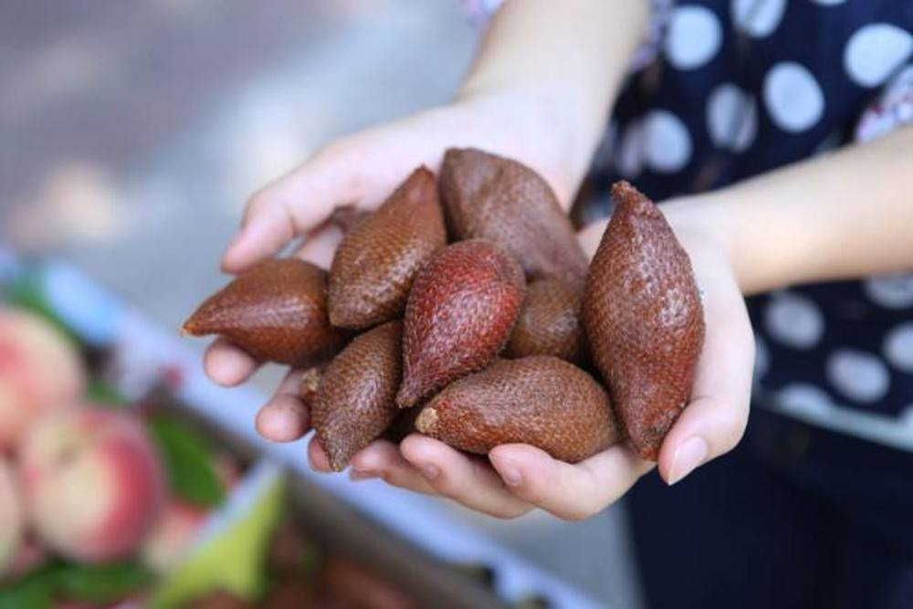 Trên tay những quả mây Bali được bày bán tại Việt Nam.