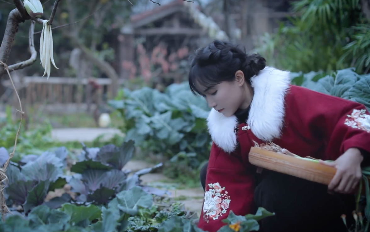 Nhiều người cho rằng công ty của Lý Tử Thất đâm kiện đối phương không phải để khiếu nại hay đòi bồi thường mà là để bảo vệ quyền sở hữu thương hiệu.