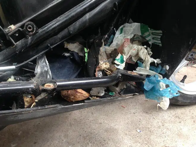 Chuột làm tổ, cắn đứt dây điện, dây dẫn xăng là nguyên nhân của hàng chục vụ cháy nổ xe. Chính vì vậy, các bạn nên thường xuyên kiểm tra xe, tránh để xảy ra các trường hợp đáng tiếc.