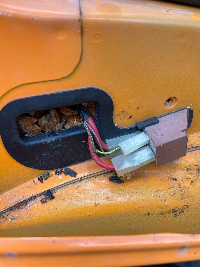 Nhiều người còn hài hước đùa rằng, đúng là cả một gia tài khổng lồ, chỗ tôm này cũng nấu được vài nồi canh bầu mà bọn chuột lại tha đi mất của chủ xe.