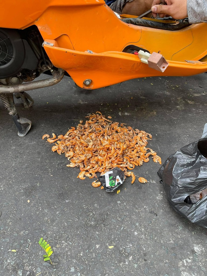 Theo chia sẻ của chủ nhân bức ảnh, bấy lâu nay anh đều thắc mắc không hiểu sao tôm khô mua về đi đâu hết thì ra là do những con chuột này. Điều đáng nói là số lượng tôm khô vô cùng lớn, chất đầy hai bên yếm xe.