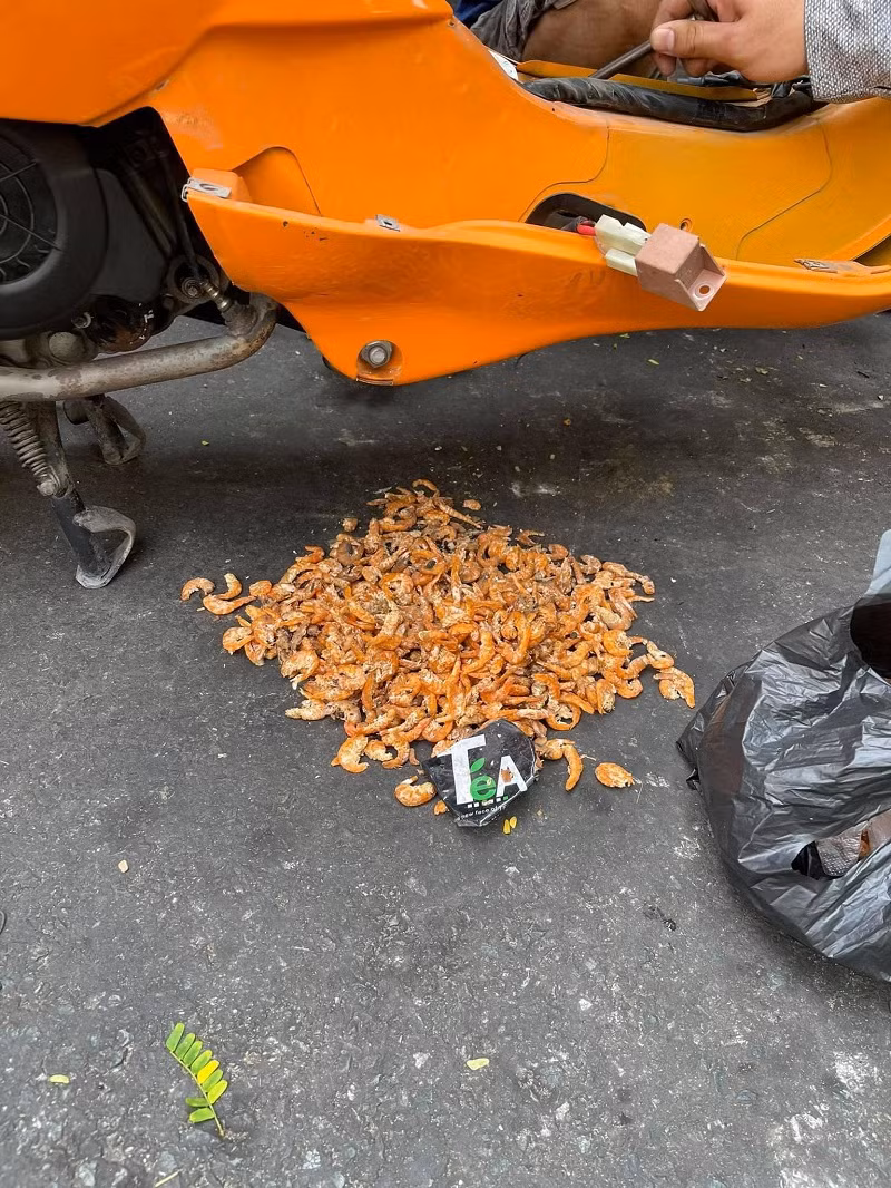 Theo chia sẻ của chủ nhân bức ảnh, bấy lâu nay anh đều thắc mắc không hiểu sao tôm khô mua về đi đâu hết thì ra là do những con chuột này. Điều đáng nói là số lượng tôm khô vô cùng lớn, chất đầy hai bên yếm xe.