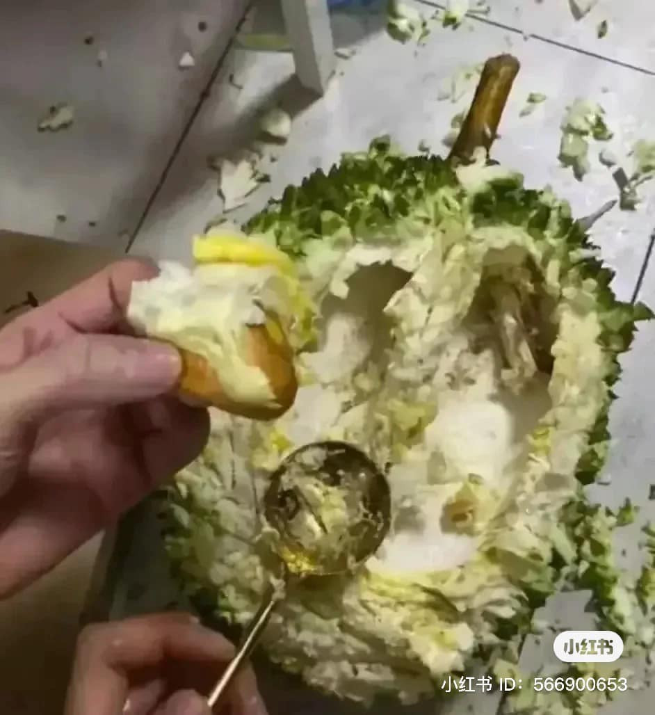 Rồi cuối cùng, sau nhiều thời gian "băm băm chặt chặt" chủ đoạn clip cũng lấy được múi sầu riêng ra ngoài. Nhưng thay vì căng mọng thì chỉ còn lại chiếc hột dính bên trên là chút nhân.