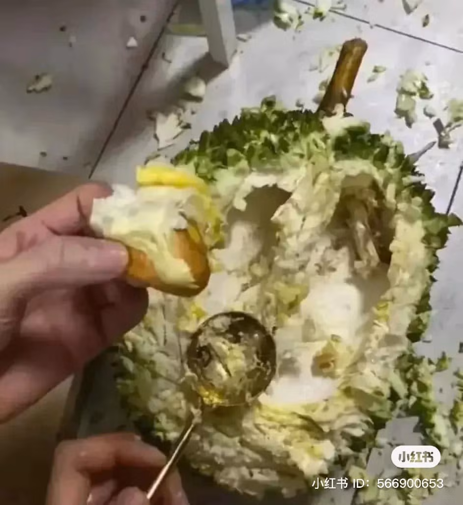 Rồi cuối cùng, sau nhiều thời gian "băm băm chặt chặt" chủ đoạn clip cũng lấy được múi sầu riêng ra ngoài. Nhưng thay vì căng mọng thì chỉ còn lại chiếc hột dính bên trên là chút nhân.