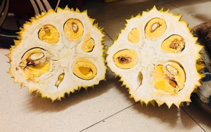 Sầu riêng cũng nhiều gai như mít thì áp dụng công thức bổ như nhau.