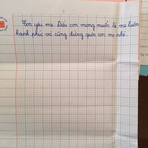 Be gai lop 5 viet tam thu gui me di lam xa lay nuoc mat bao nguoi-Hinh-5