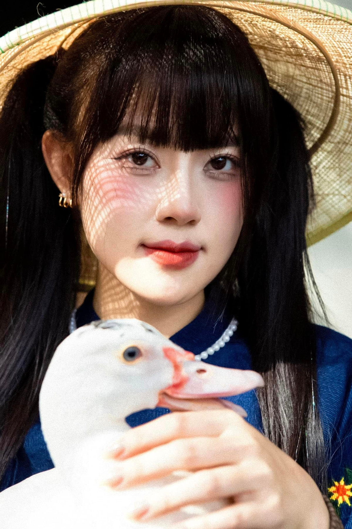 Đạo cụ là những chú vịt có bộ lông trắng và chiếc mỏ vàng đặc trưng có thể dễ dàng mua ở chợ. Ảnh: Lê Hồng Ngọc