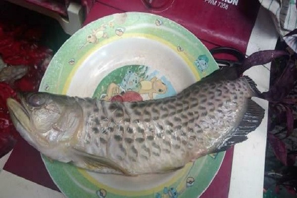 Con trai khong chiu lay vo, ong bo mang ca tien trieu ra dan mat