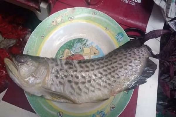 Con trai khong chiu lay vo, ong bo mang ca tien trieu ra dan mat